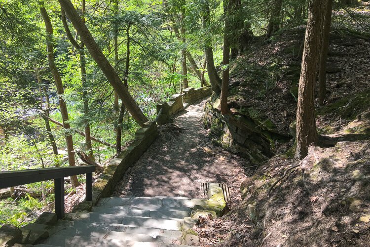 Henry Church Rock Loop trail.